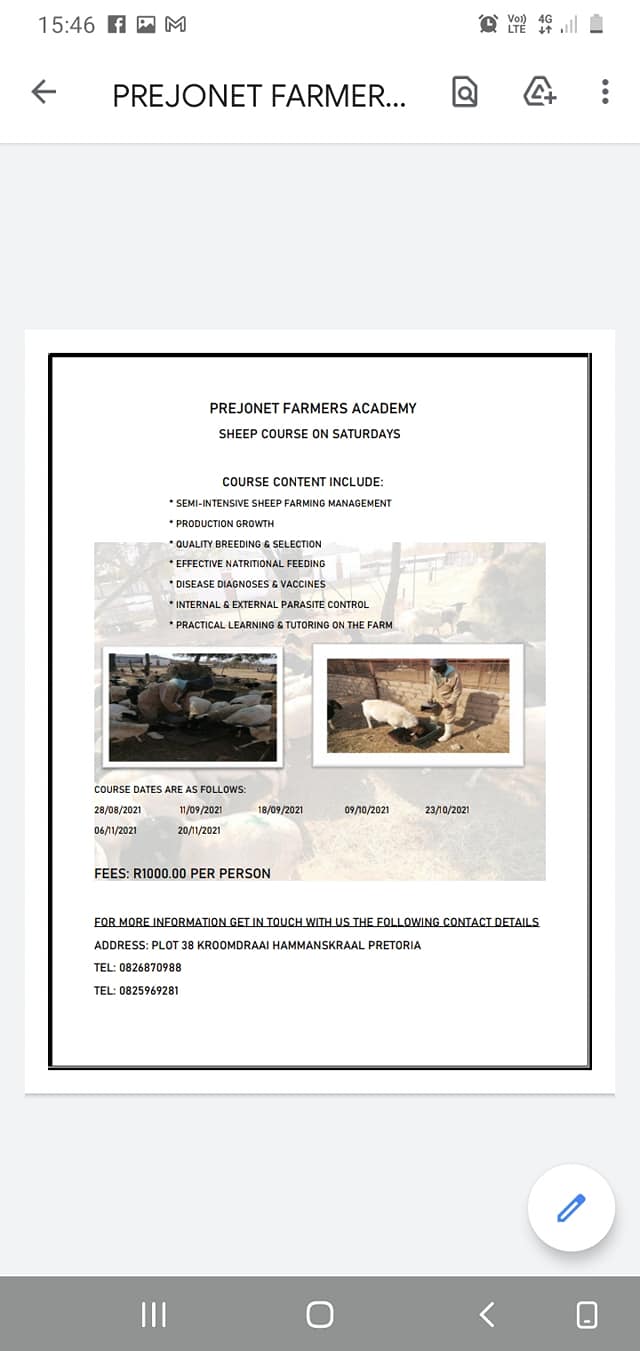Prejonet Piggery FARM | Pretoria