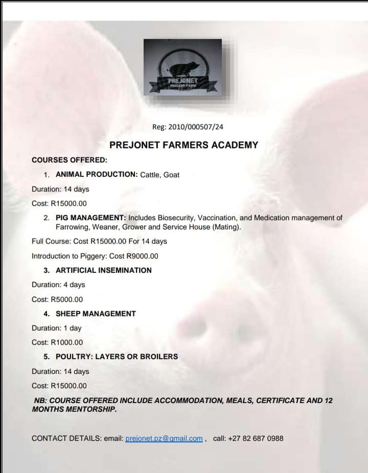 Prejonet Piggery FARM | Pretoria