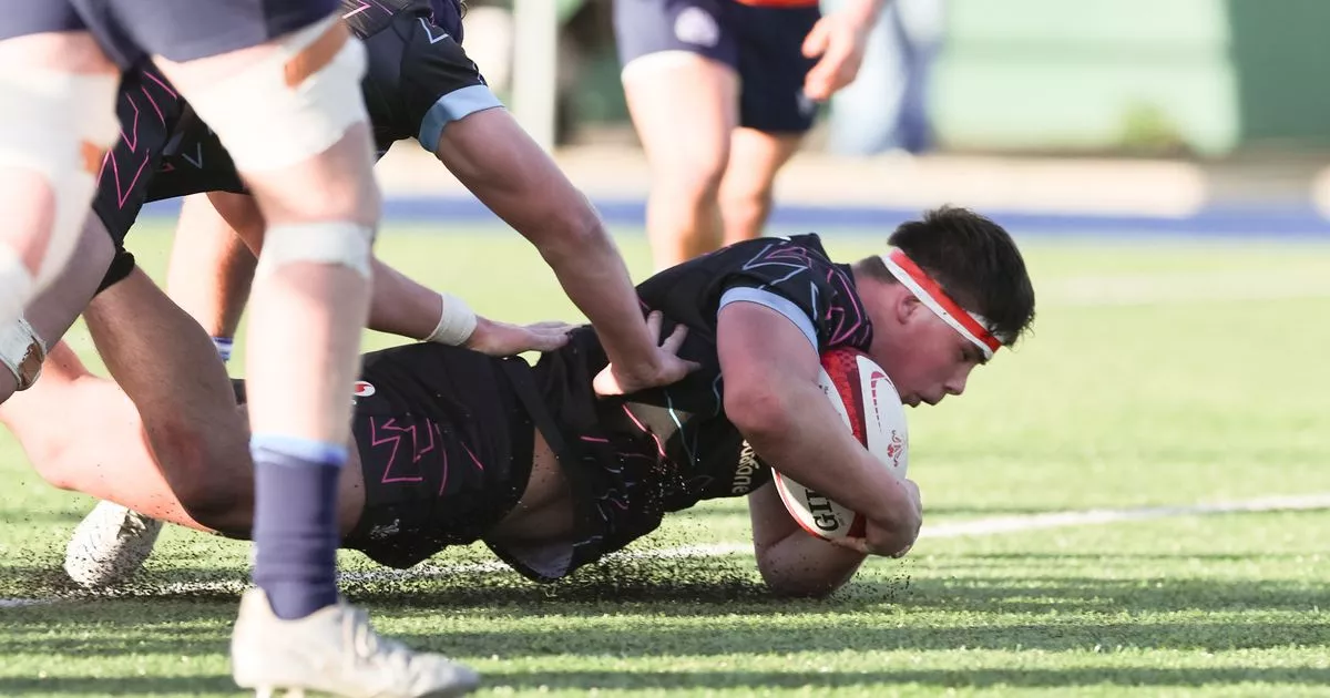 Cardiff - Tom Howe shines with back-to-back try-scoring debuts 🌟 Read ...
