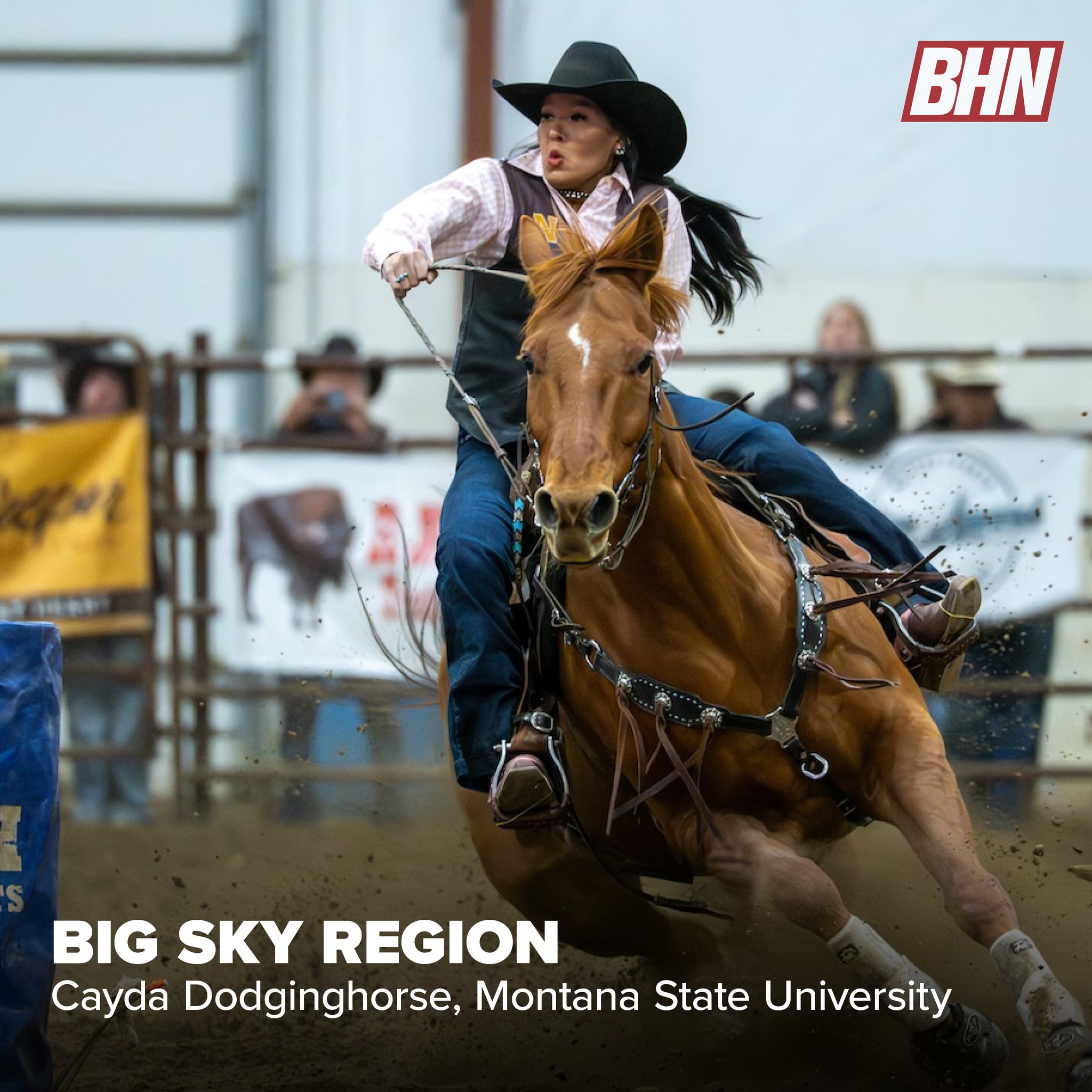 Meet the 12 National Intercollegiate Rodeo Association region 