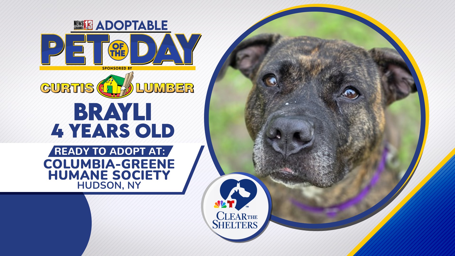 WNYT - PRETTY! 🐶 Our #AdoptablePetOfTheDay is Brayli from