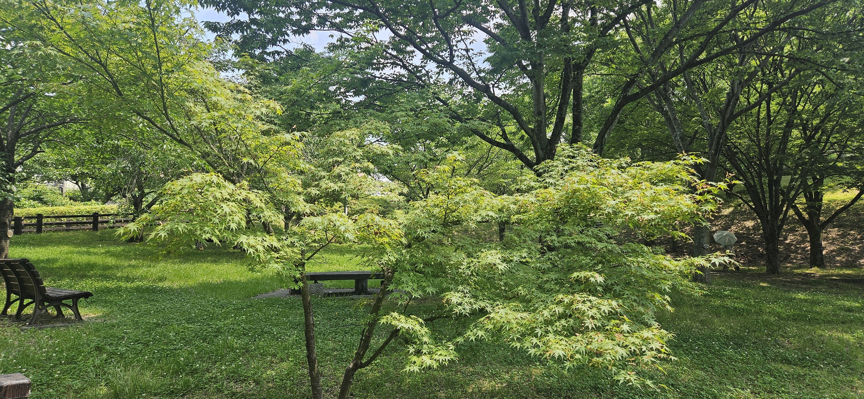 寝屋川 公園