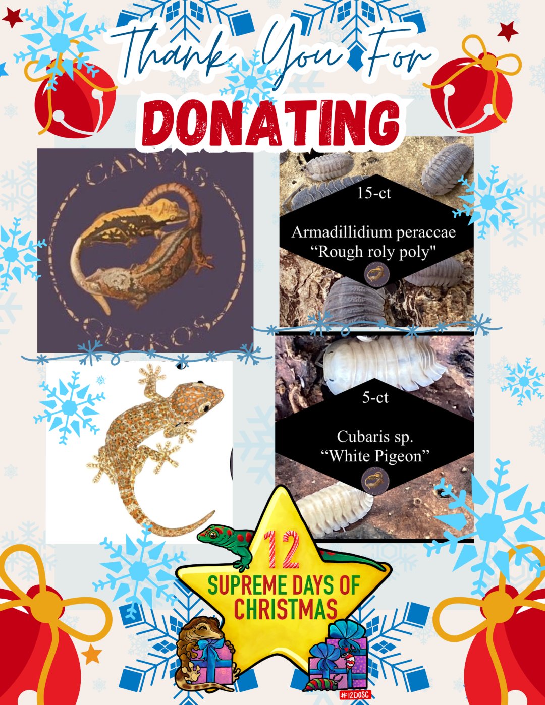 Supreme - A huge thank you to Canvas Geckos for your amazing donation ...