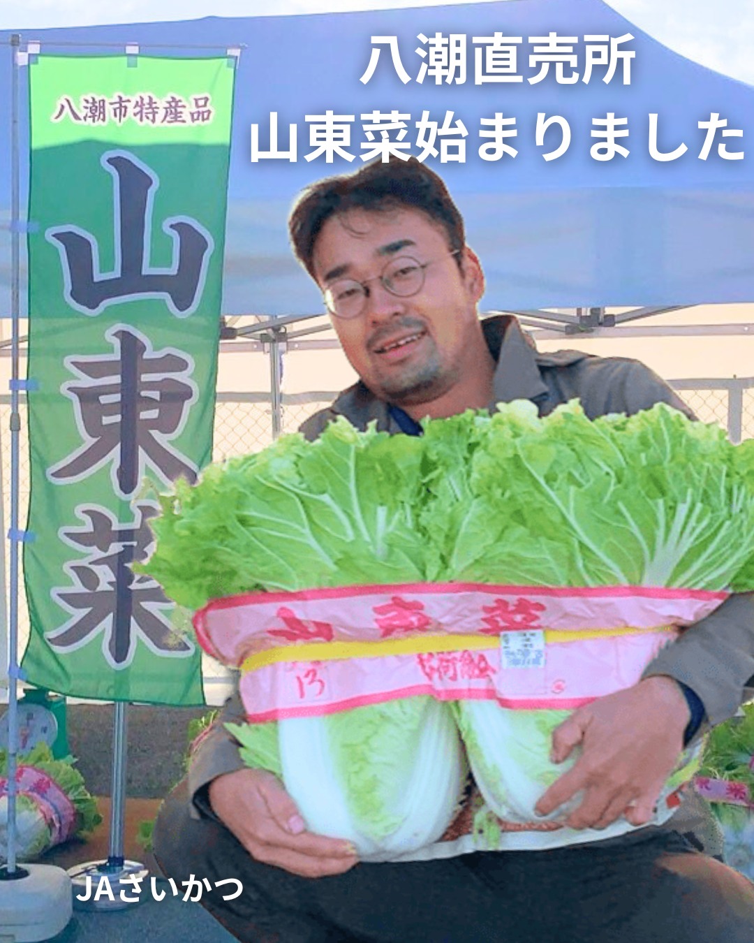 🌱八潮直売所の冬の味覚！山東菜が登場 冬の風物詩、やわらかく甘みの