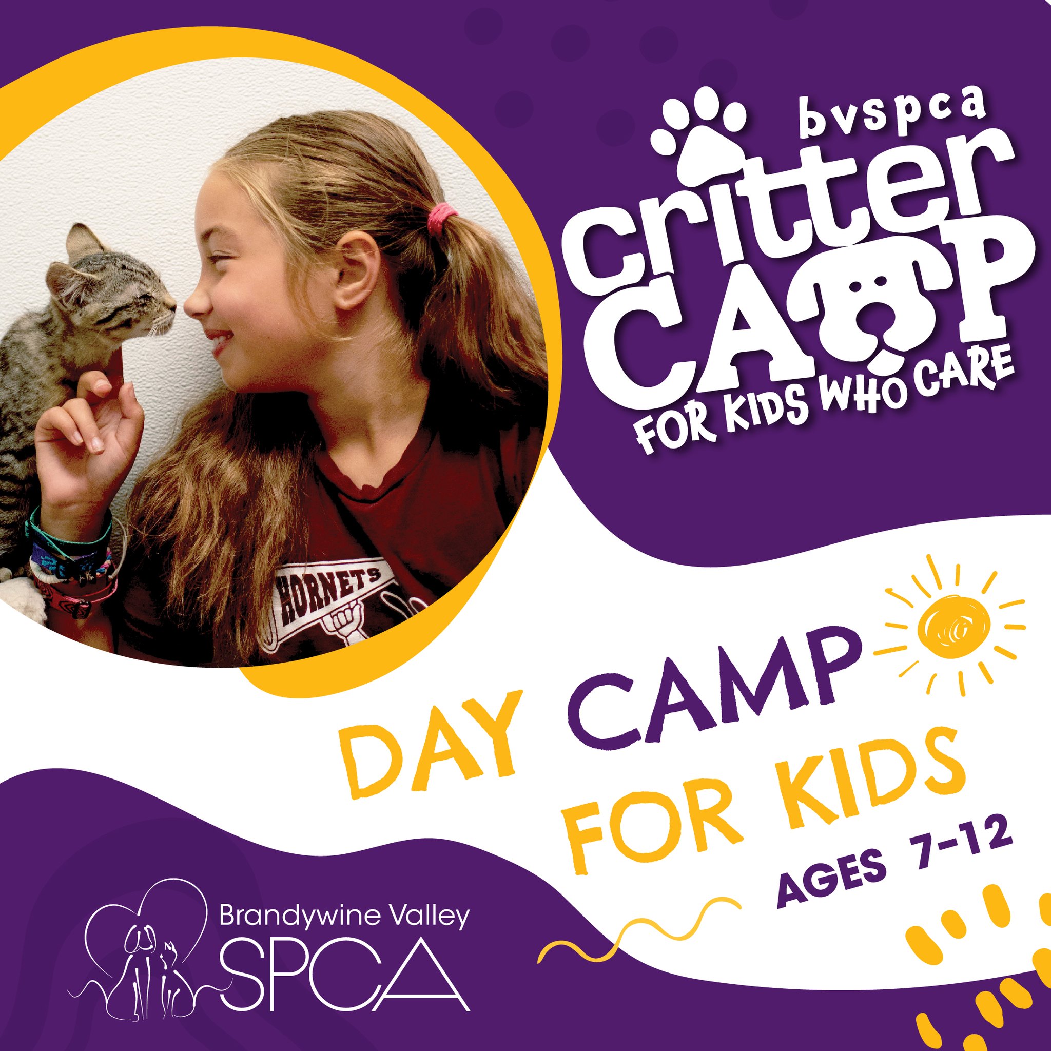 Brandywine Valley SPCA added a... - Brandywine Valley SPCA