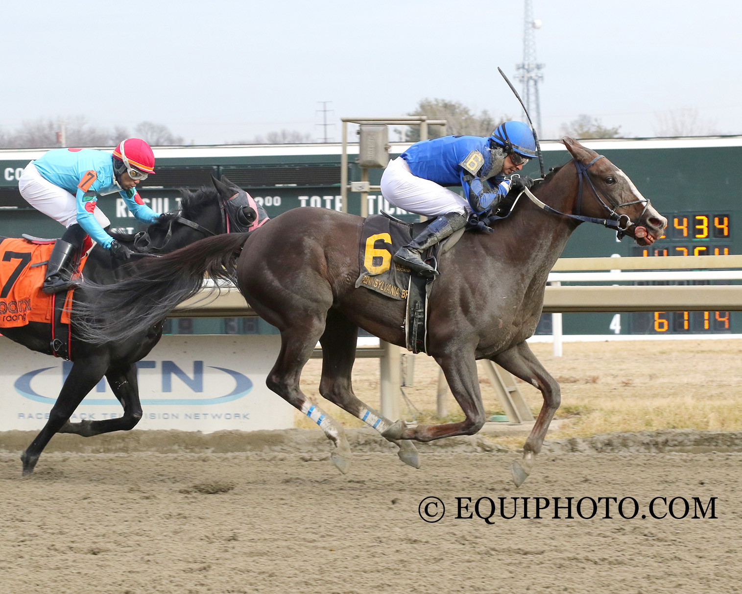 Equi-Photo - In her first start of 2026, ten-year-old Tara's Talent ...