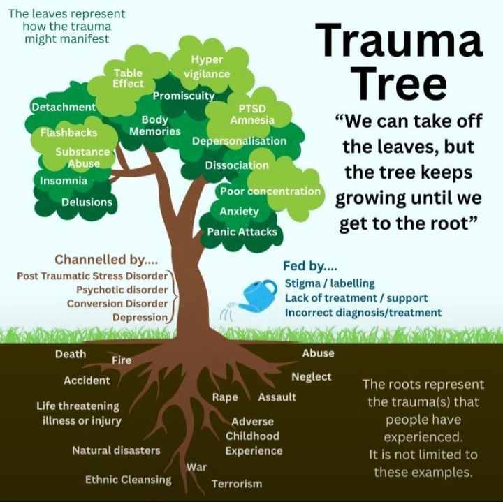 Hills Hypnosis - The Trauma Tree & Stages of Growth I... | Facebook