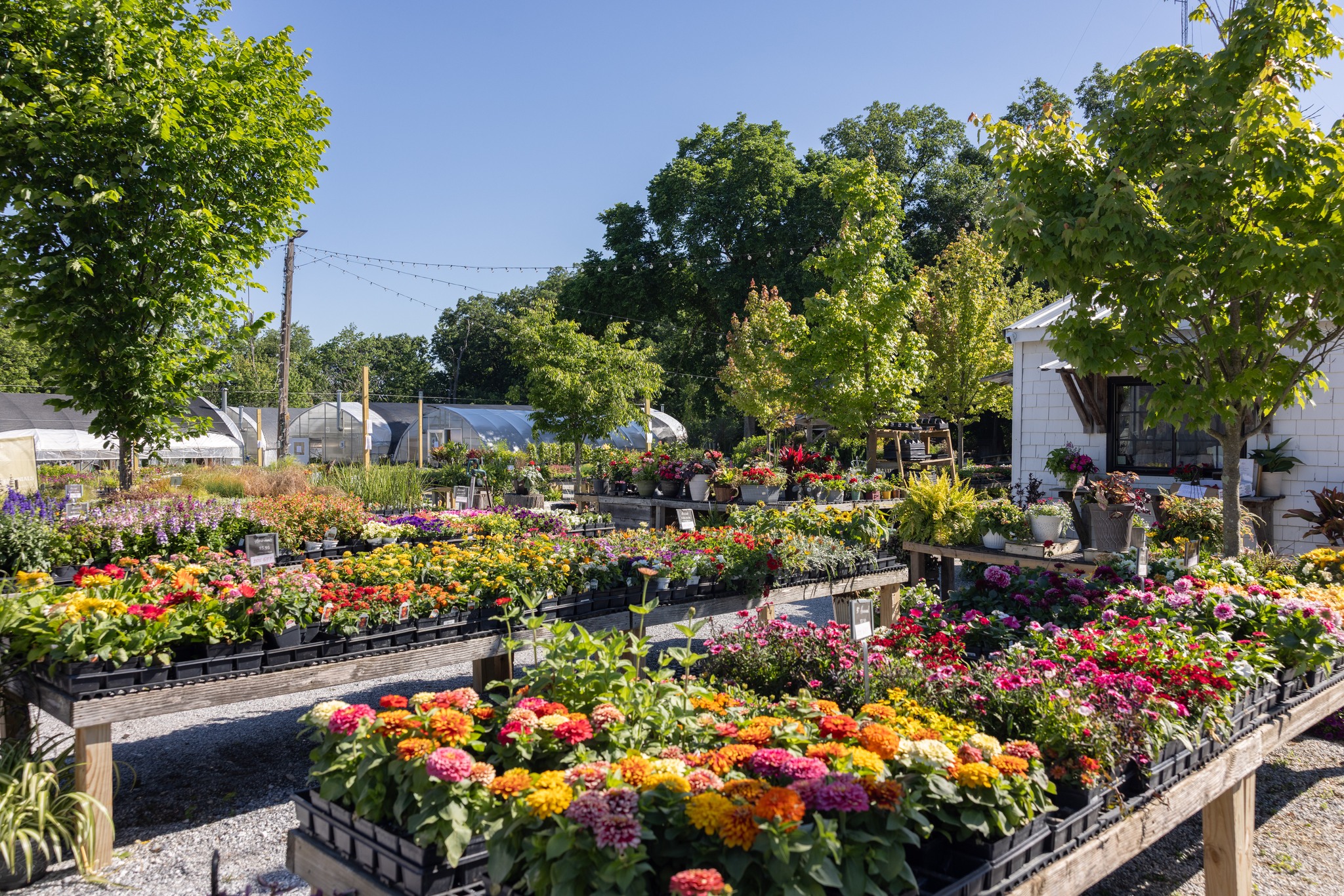 Hueter's Greenhouses | York PA