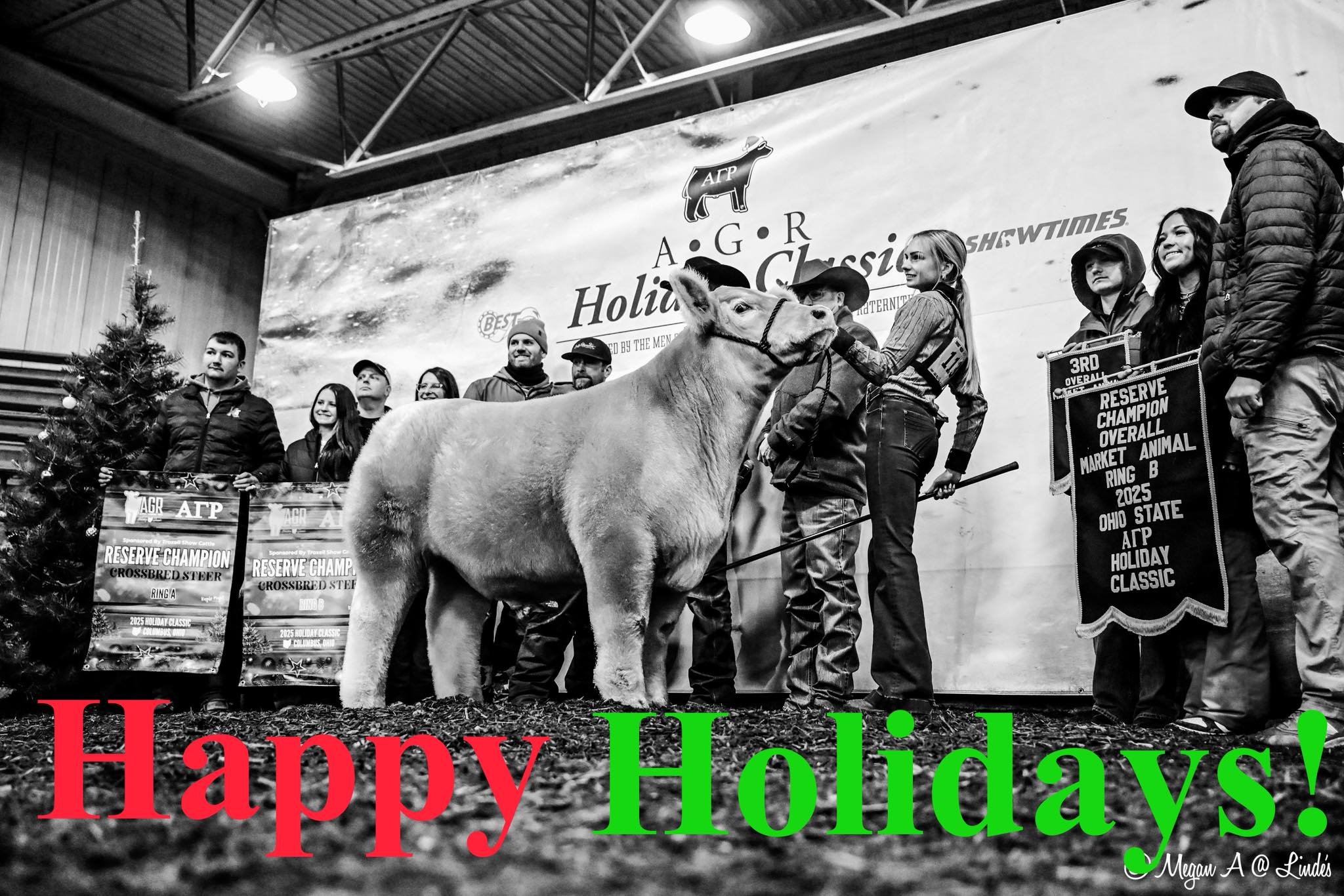 Dupler Cattle | Mount Perry OH