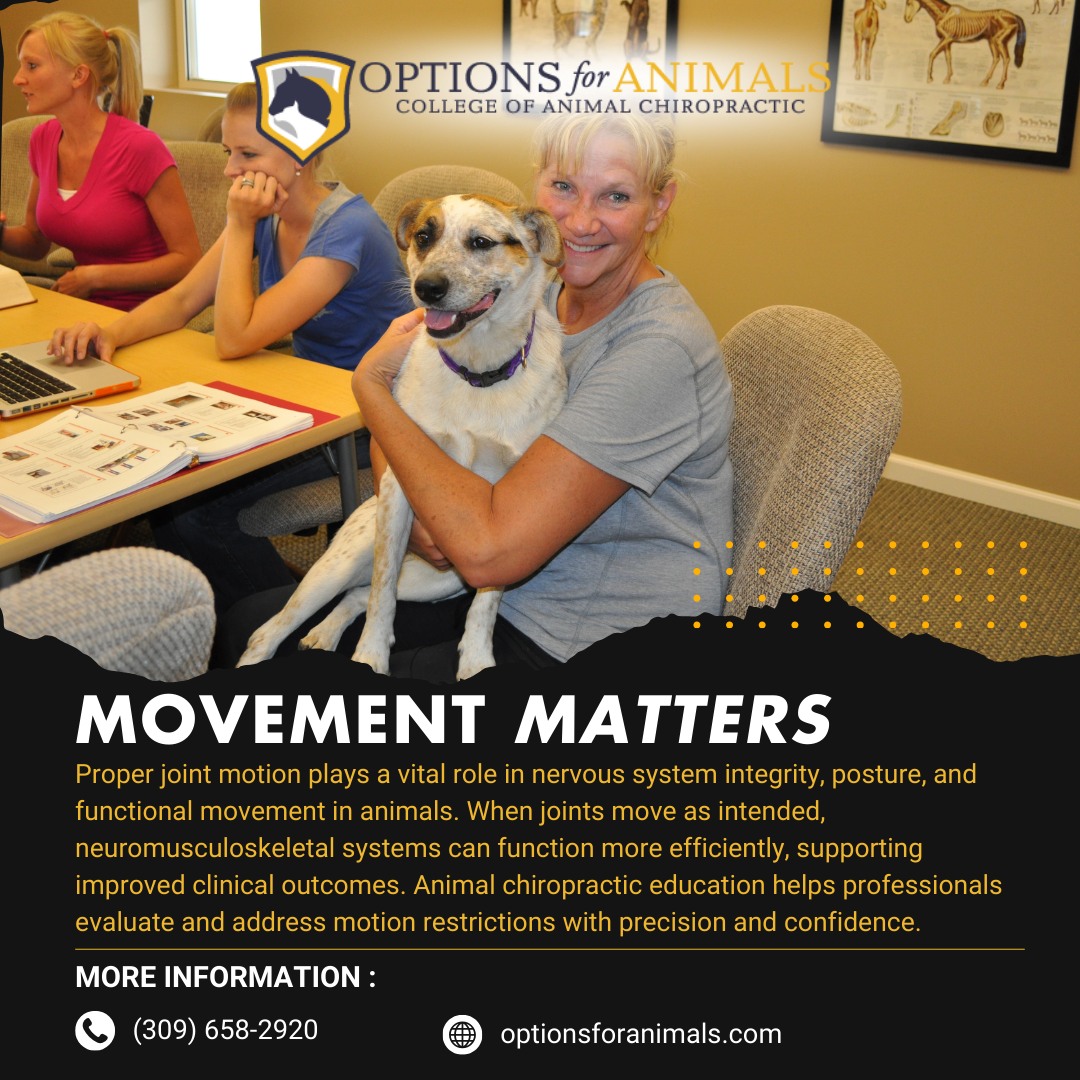 Proper... - Options for Animals College of Animal Chiropractic | Facebook