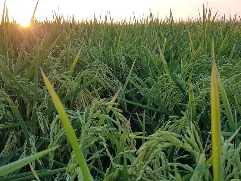 NutriSoil - Have you read our latest Blog? As water affordability ...