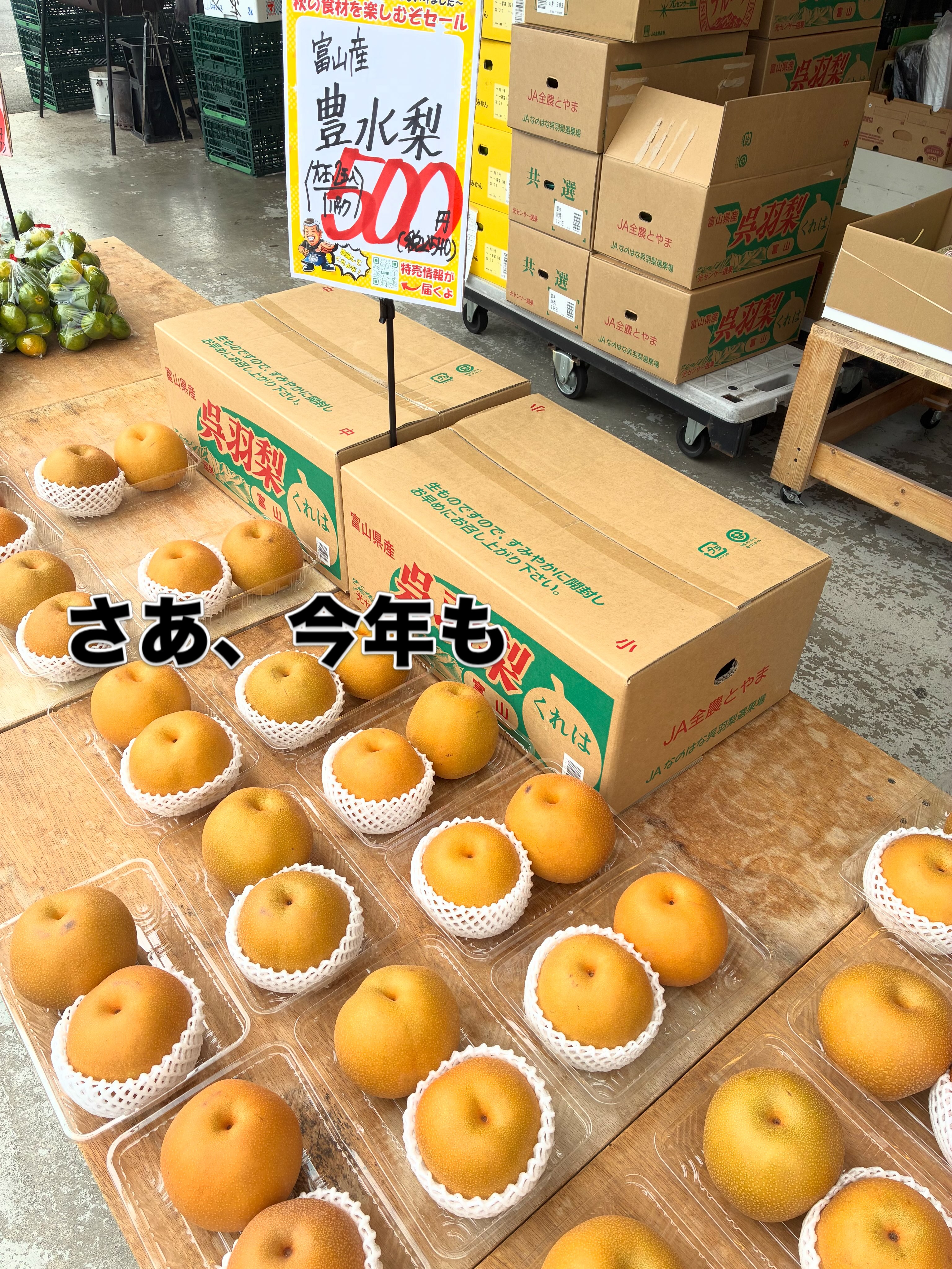 フレッシュライフ 中恵土店 | Kani-shi Gifu