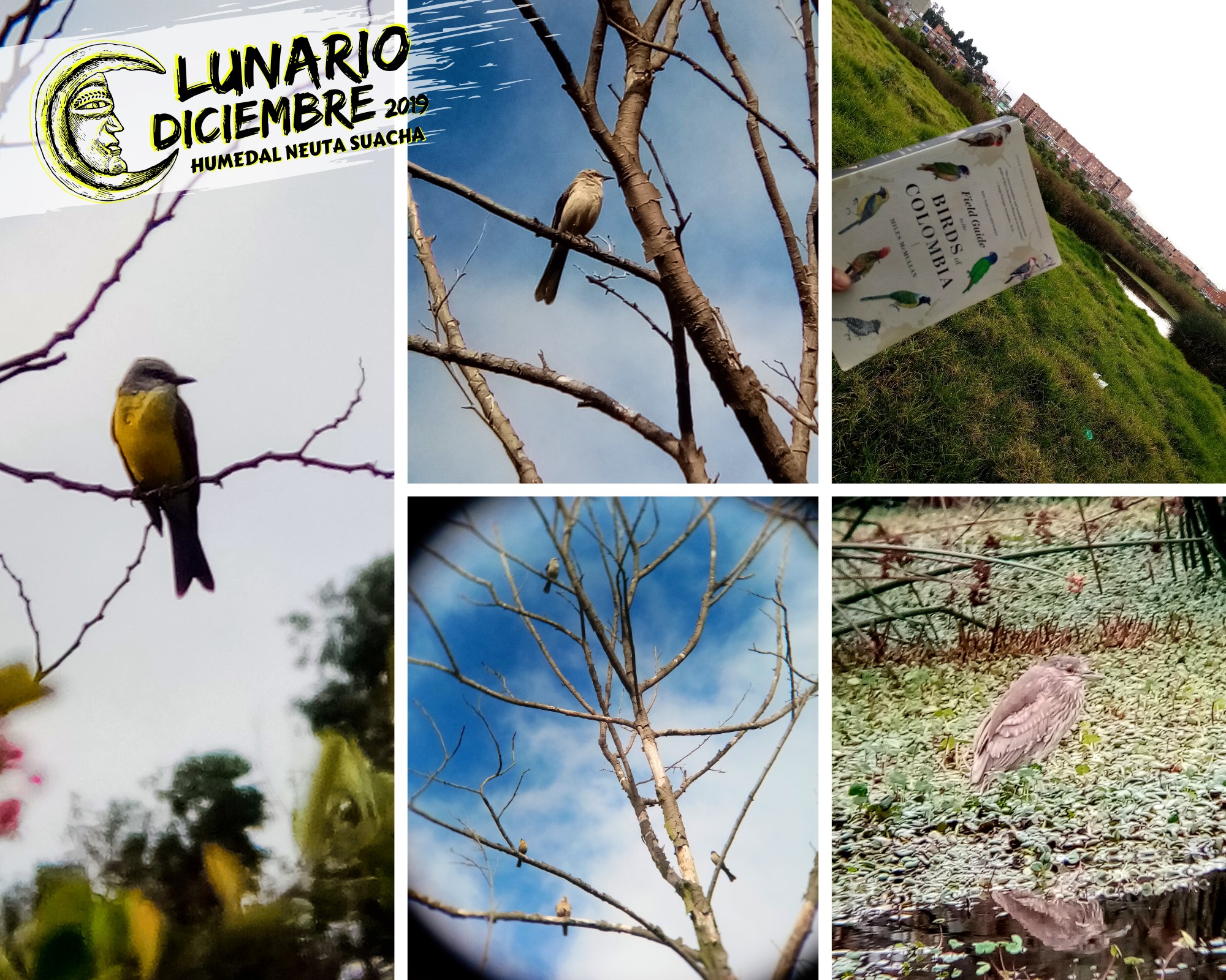 🌚 Cerramos la segunda semana del... - Humedal Neuta Suacha | Facebook
