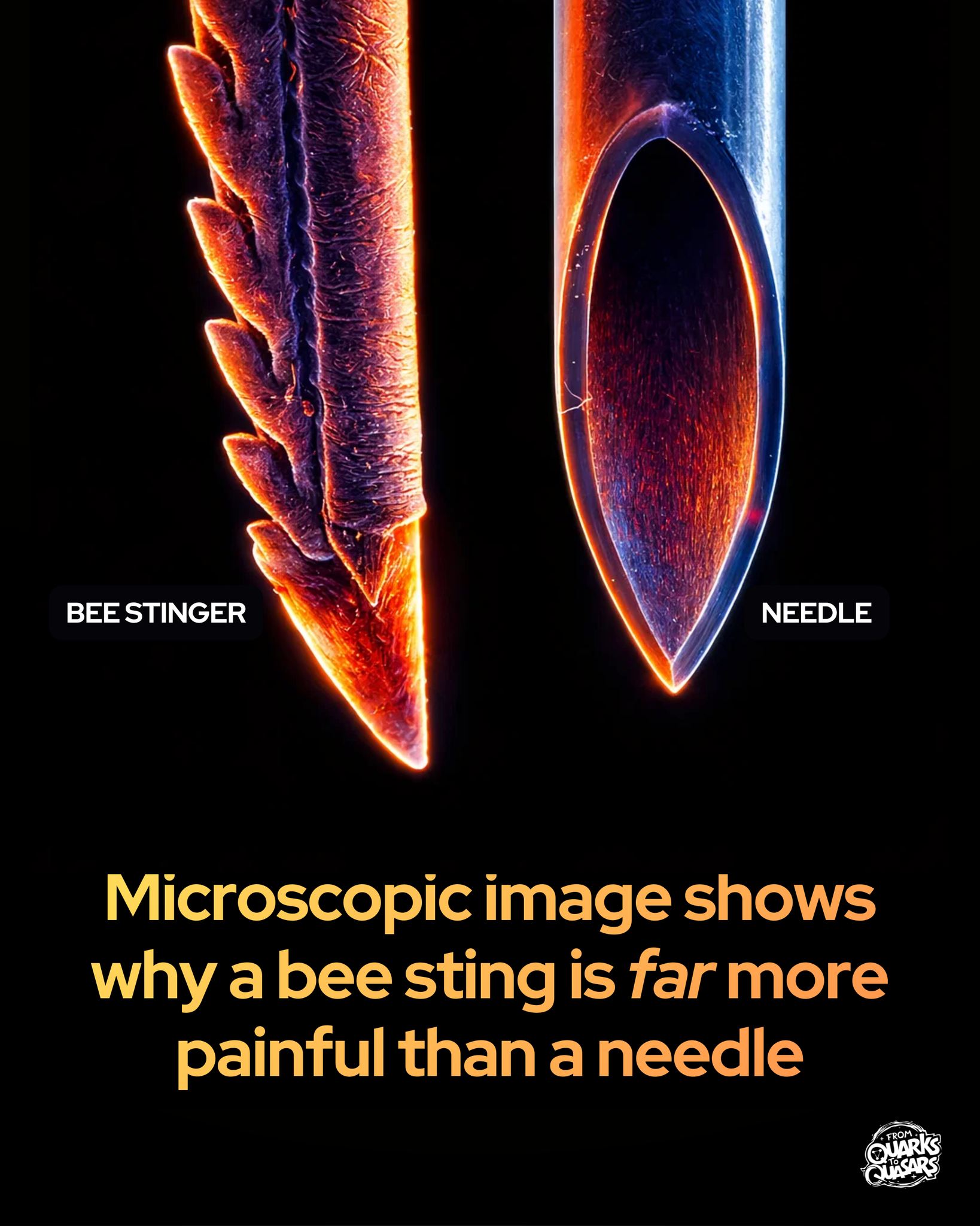 From - A bee stinger is a biological weapon, while a medical needle is ...