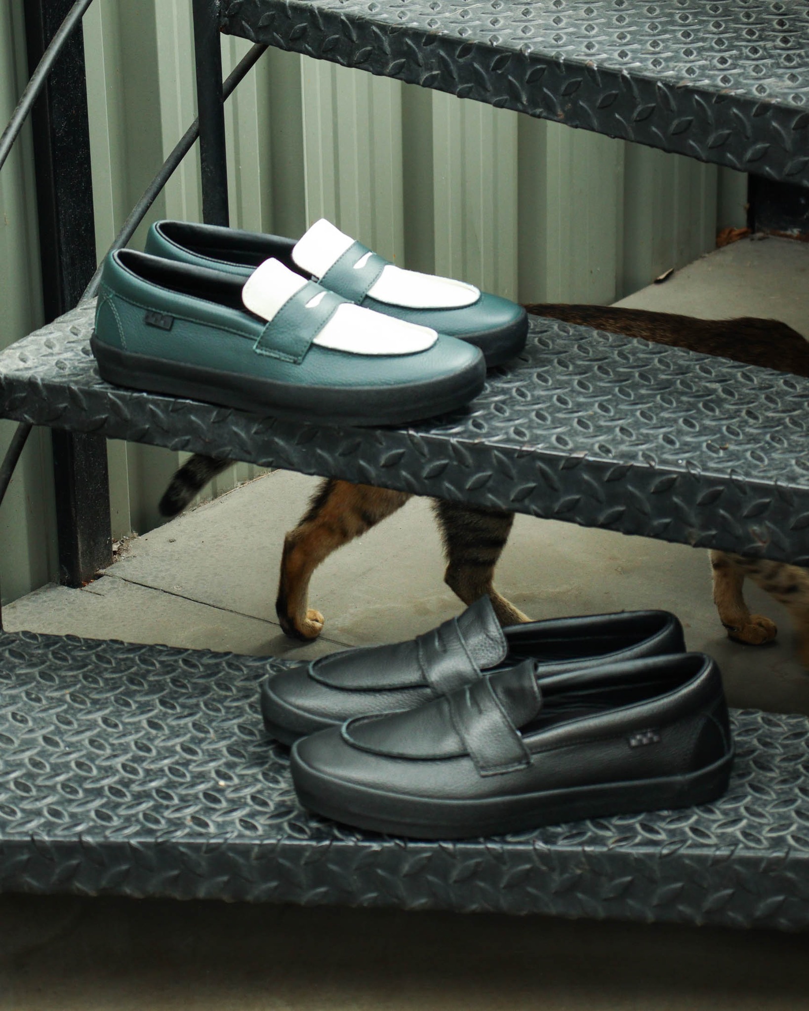 The Vans Skate Loafer in classic black or dark forest leather, or 