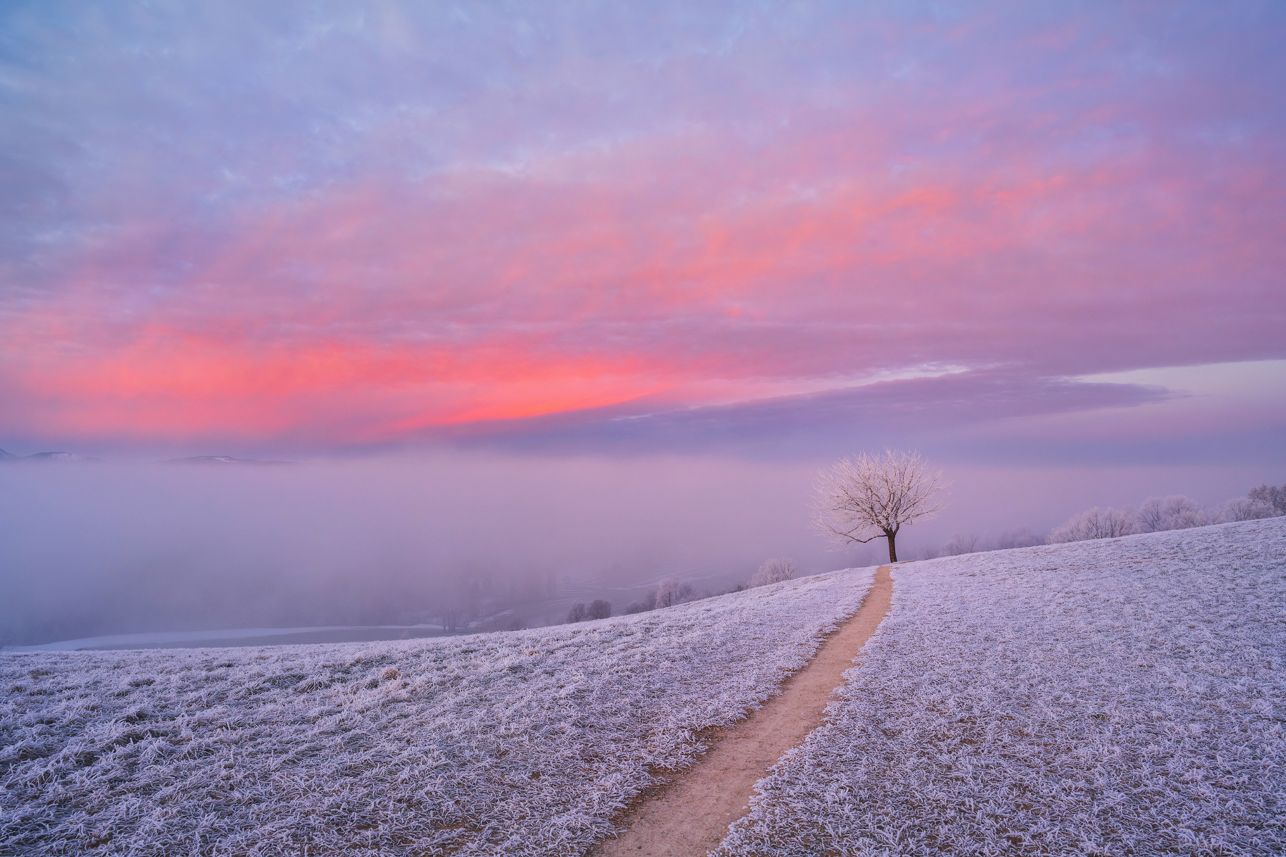 Kilian Schoenberger... - Kilian Schoenberger Photography