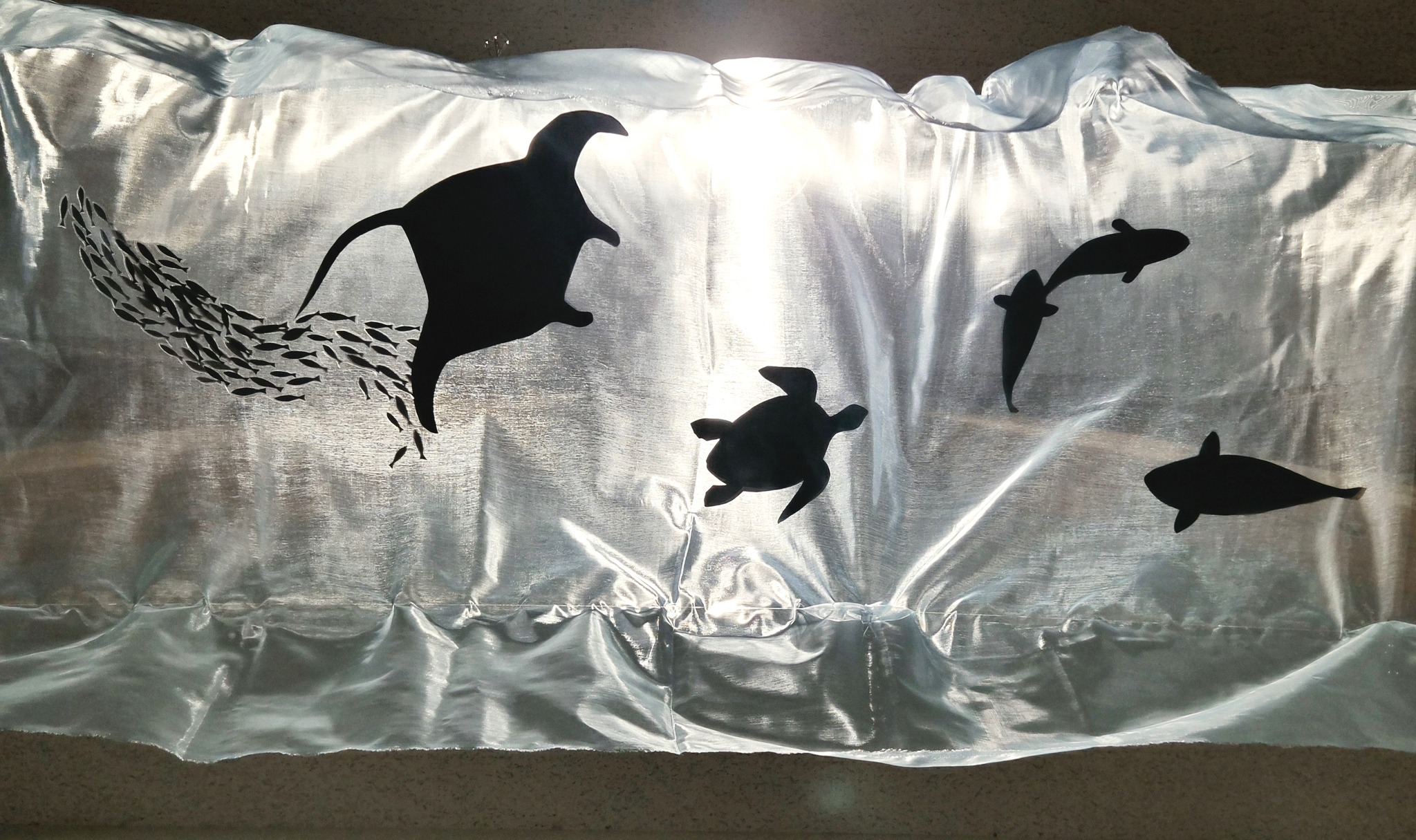 本日から、企画展示「金沢のマタギ」「クマ・熊・くま」が始まりました
