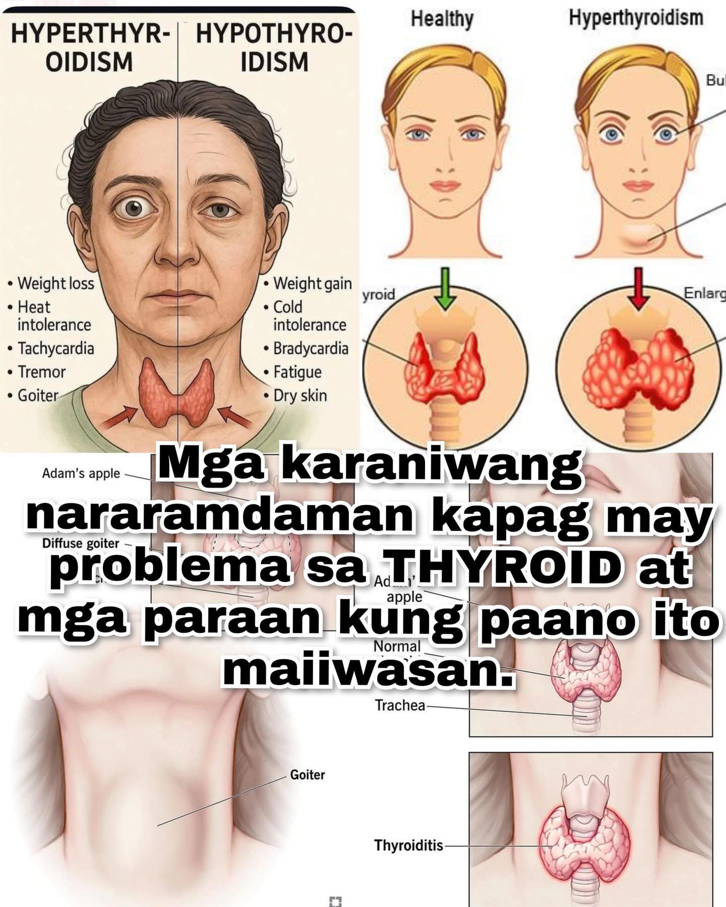 Healt... - Health Forum Zynergia Tacloban City Wellness Center