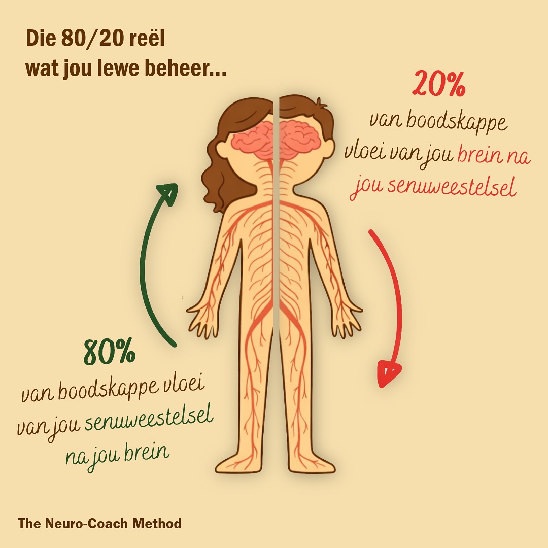 The Neuro-Coach - 80% van die boodskappe vloei van jou liggaam na jou ...