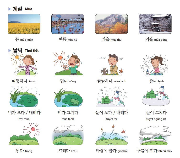 Cùng giải đề TOPIK II (cấp 3,4,5,6) | 🌤️ Tổng Hợp Từ Vựng Tiếng Hàn Về ...