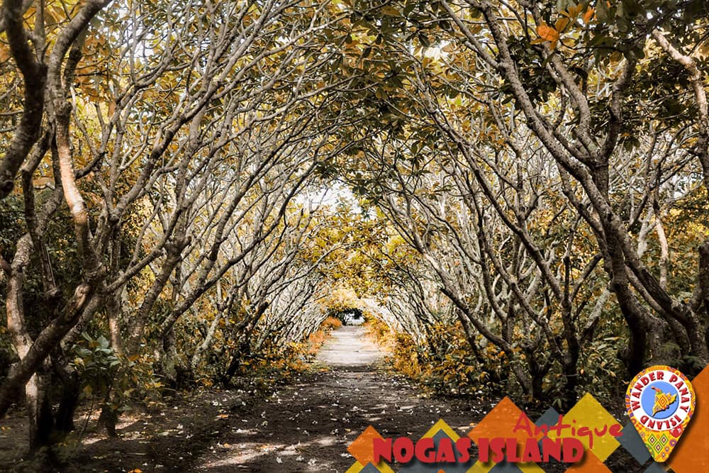 Wander Panay Island - Located in the southern-most 🧭 part of Panay lies ...