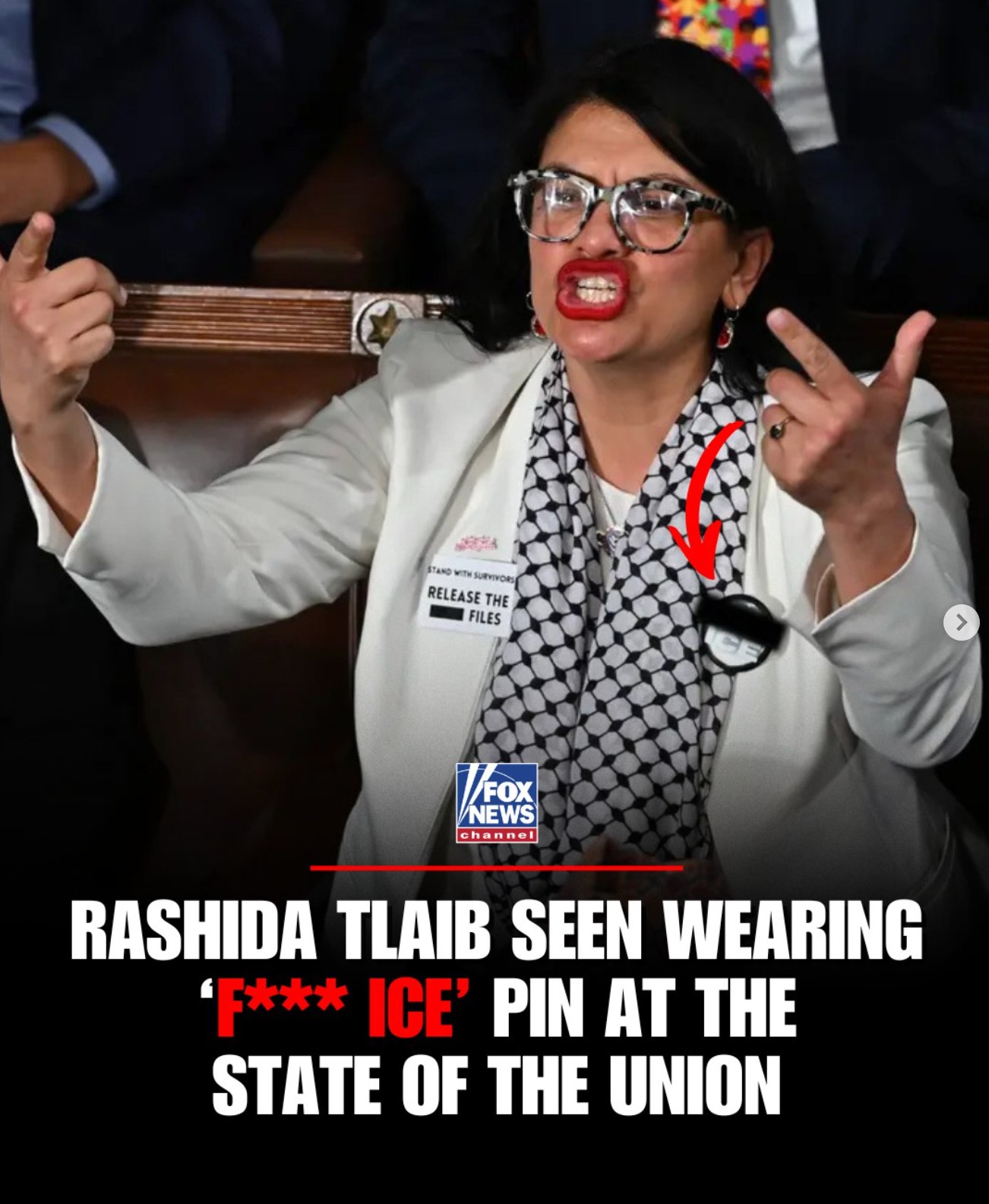 Laura Ingraham - Thoughts ? PROVOKING PIN: Rep. Rashida... | Facebook