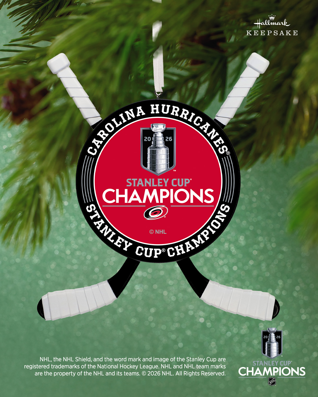 They did it–the Hurricanes are the champs! Celebrate their victory