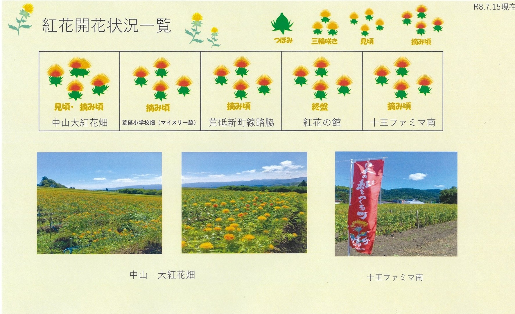 雑誌掲載のお知らせ＋α】 白鷹町のお菓子の詰め合わせの通販 「しら