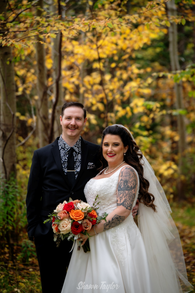 Shawn Taylor... - Shawn Taylor Newfoundland Photographer