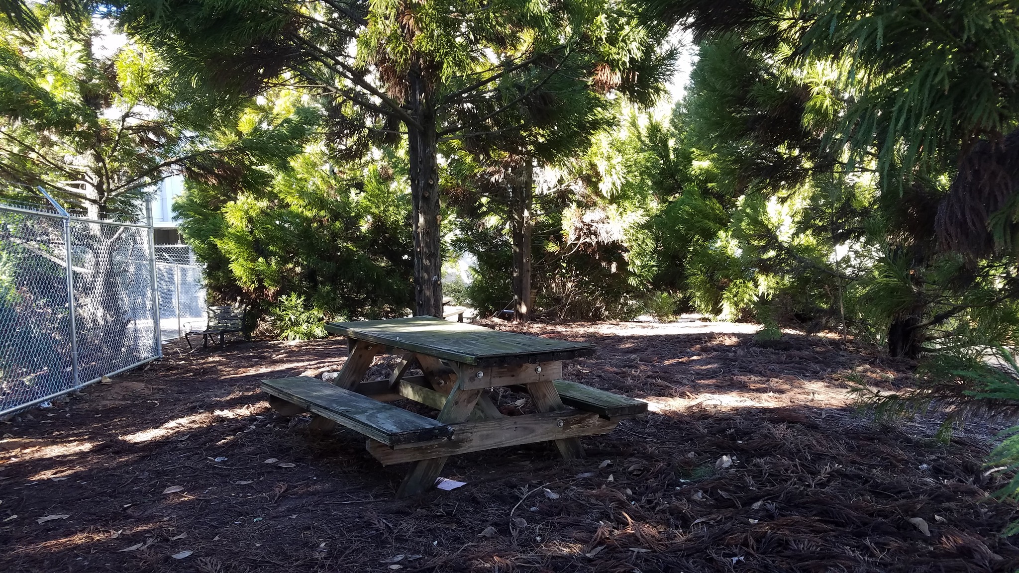 🌿 Quiet spaces don’t stay... - Alternative Environments, Inc | Facebook