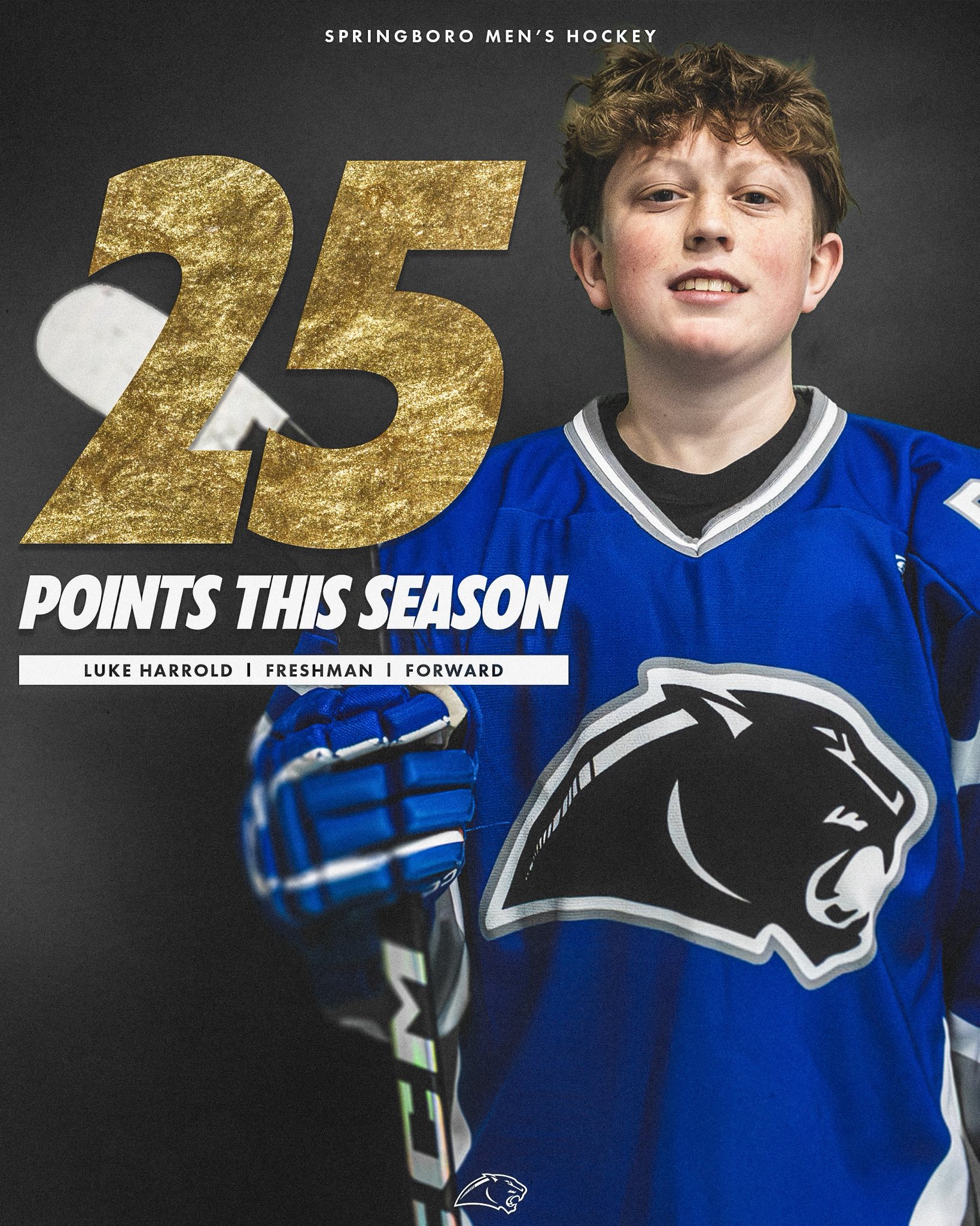 Springboro... - Springboro Panthers Varsity Hockey Team