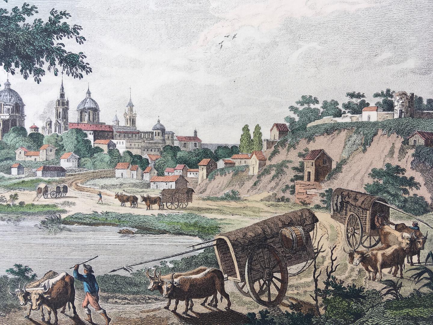 Brambila, Fernando - Félix de Azara 