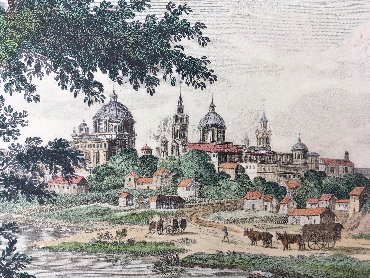 Brambila, Fernando - Félix de Azara 