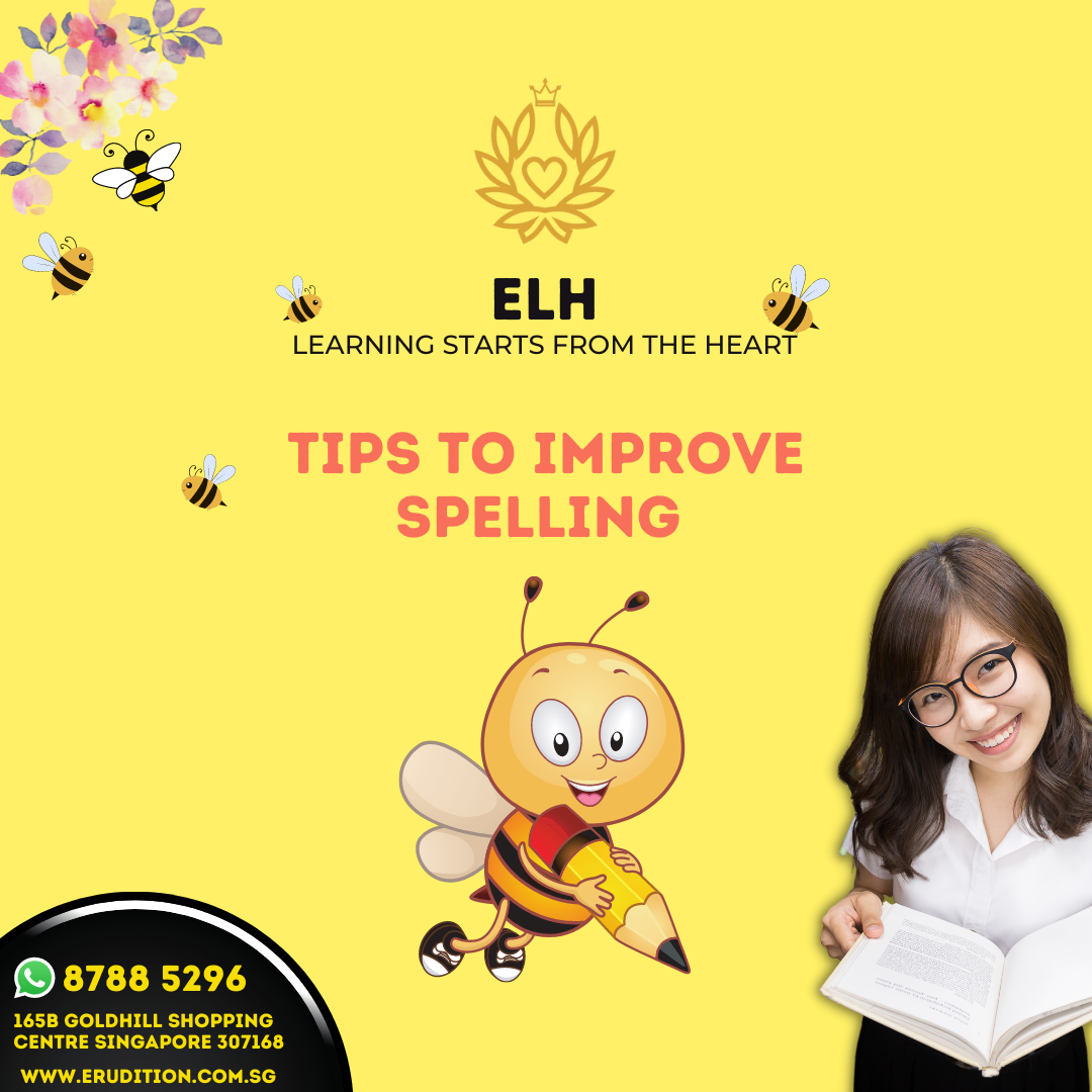 🐝 Buzz buzz buzz! 🐝 Here are... - Erudition Learning Hub | Facebook