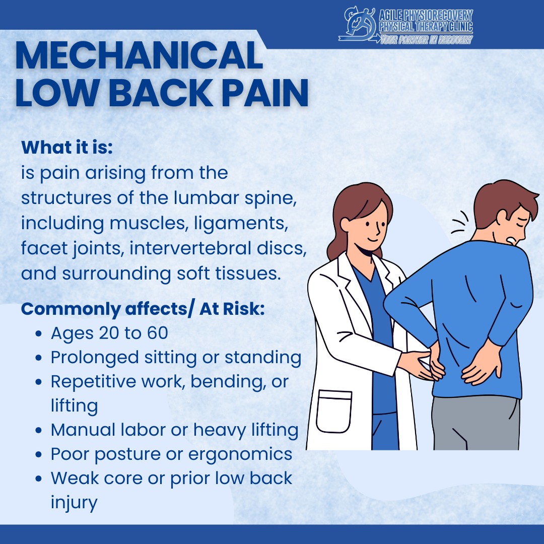 Agile - MECHANICAL LOW BACK PAIN What it is: is pain arising from the ...