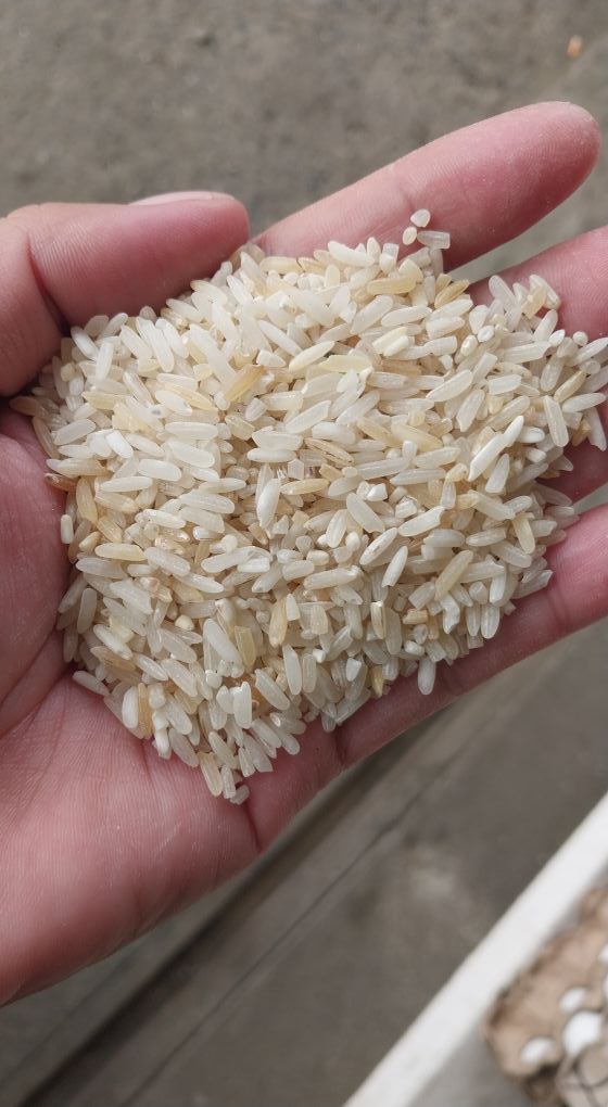 Premium Local Rice Butuan | Butuan City