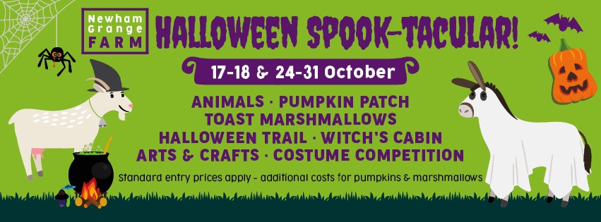 🌟 What’s On This Weekend at... - Kirkleatham Museum & Grounds | Facebook