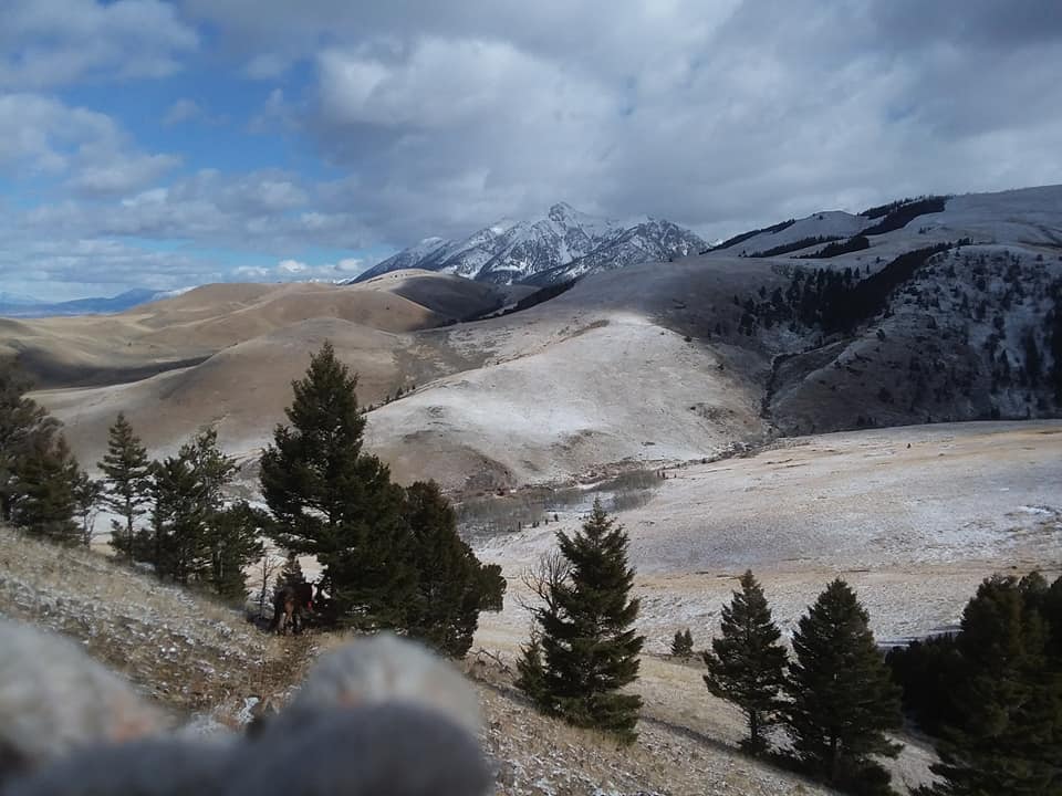 Flying Diamond Guide Service | Livingston MT