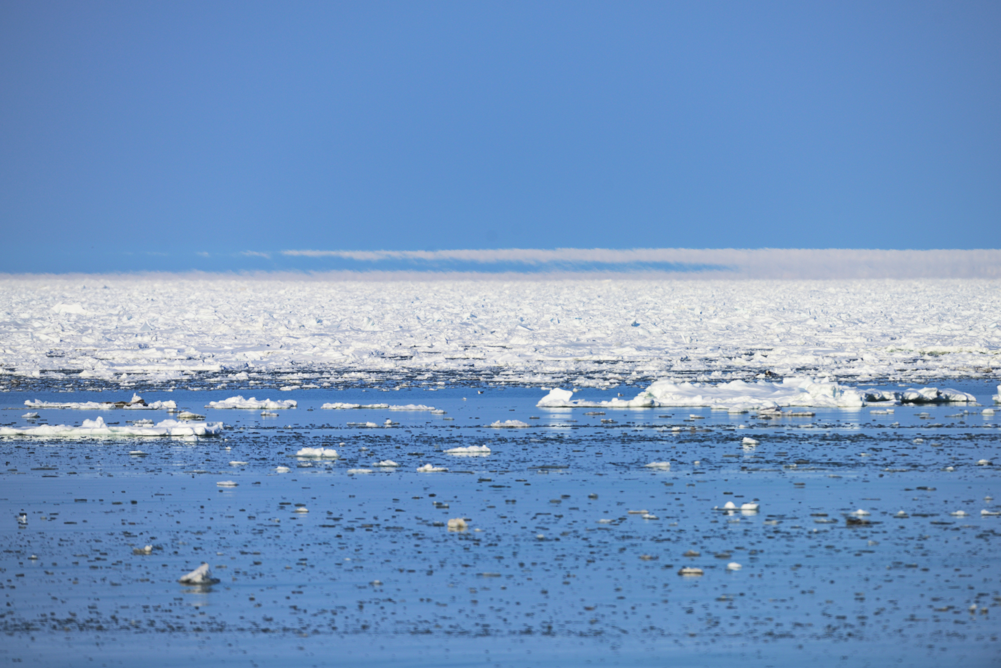 北海道立オホーツク流氷科学センター - 2026/3/18撮影。 焦点距離は