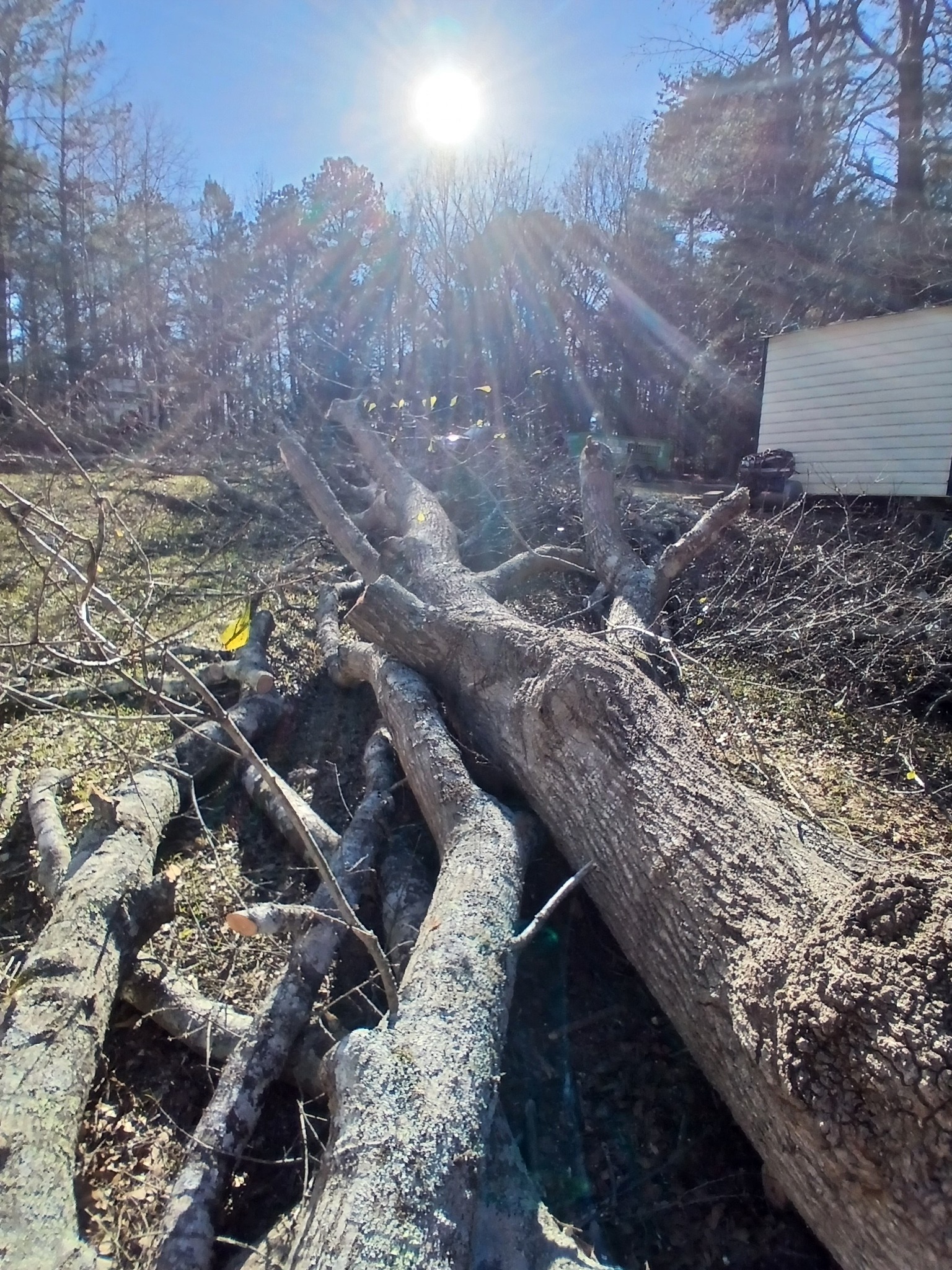Patterson Tree & Lawn Service | Lowndesville SC