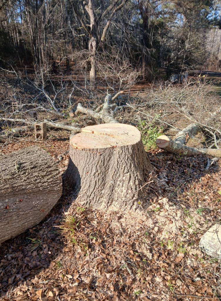 Patterson Tree & Lawn Service | Lowndesville SC