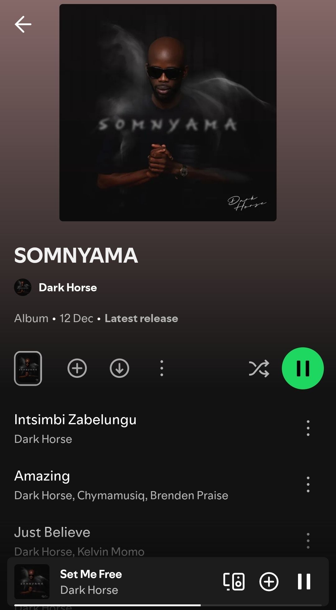 Let's - Mjita Dark-Horse SA gave us a very beautiful project here👌👌 ...