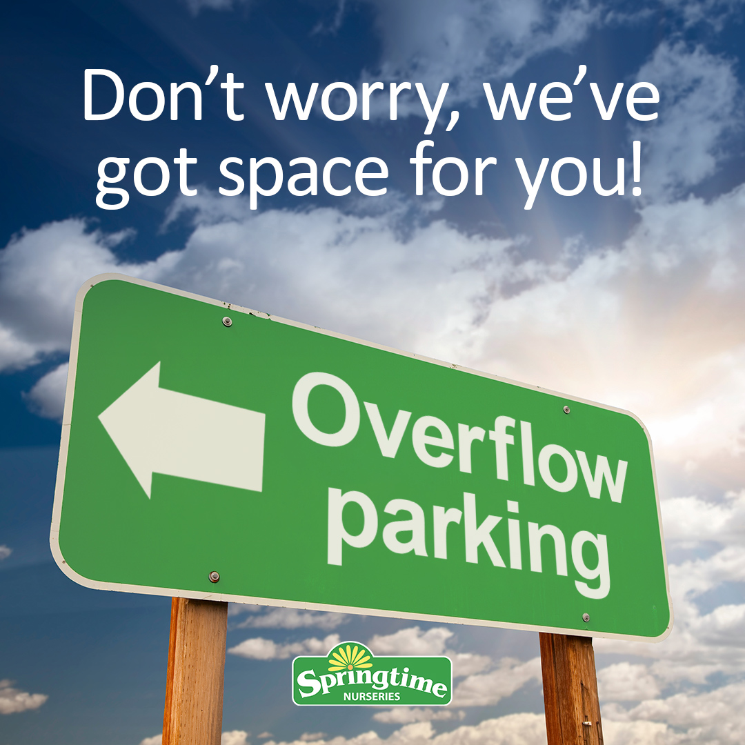 🚨🚘 Announcement!! 🚘🚨... - Springtime Nurseries Crews Hill