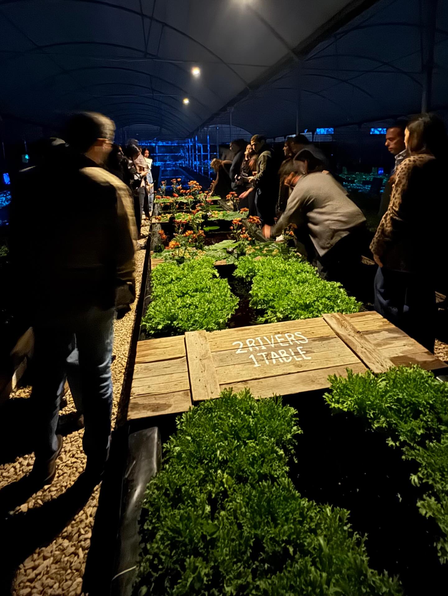 NatureWorks - A glimpse of our elevated Farm to Table... | Facebook