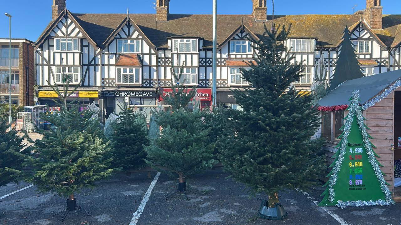 Brighton Christmas Tree... - Brighton Christmas Tree Delivery