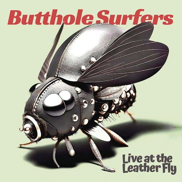 Butthole Surfers' Double Live vinyl still impresses after years