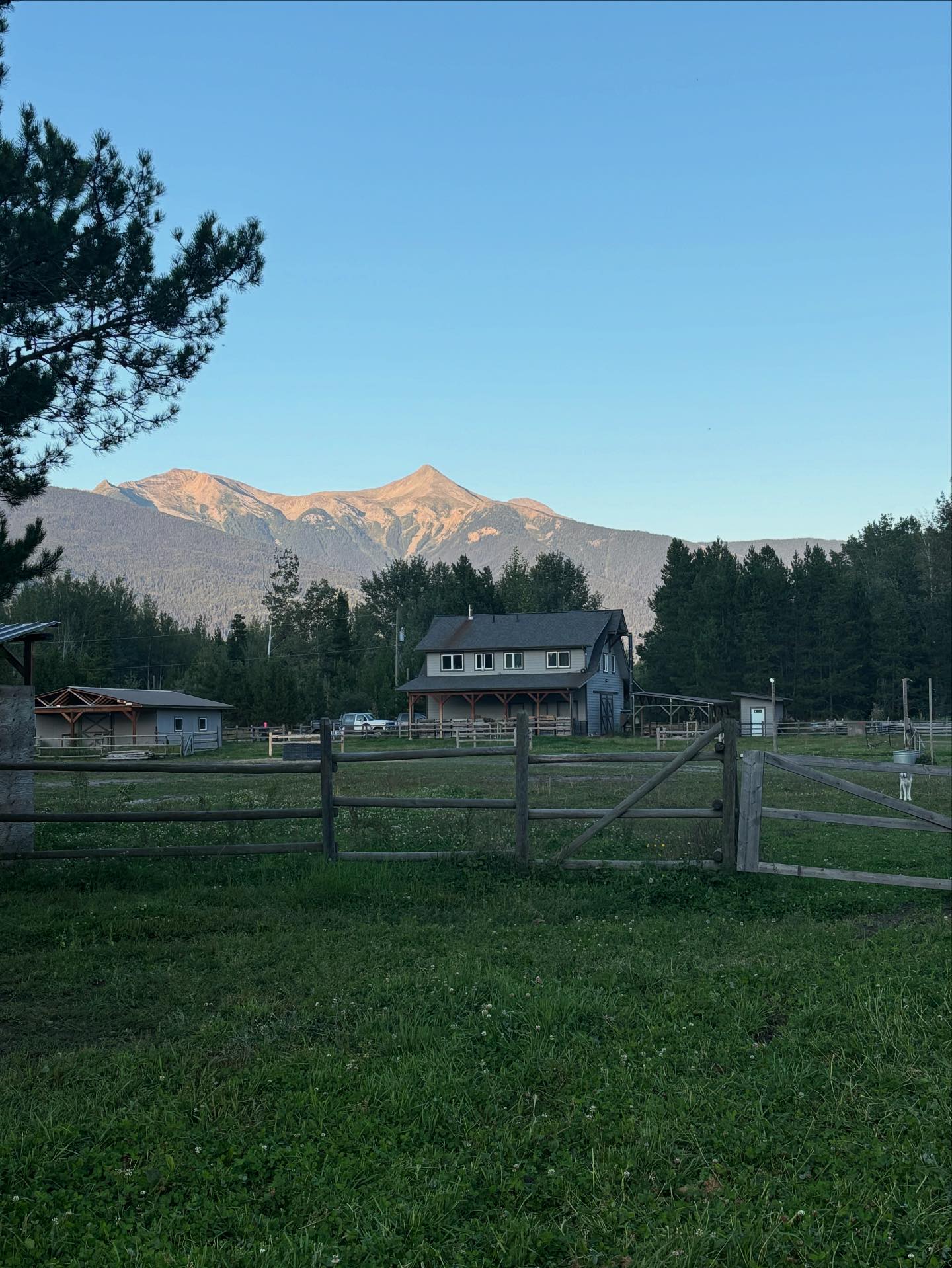 Willow Ranch - Willow Ranch added a new photo.