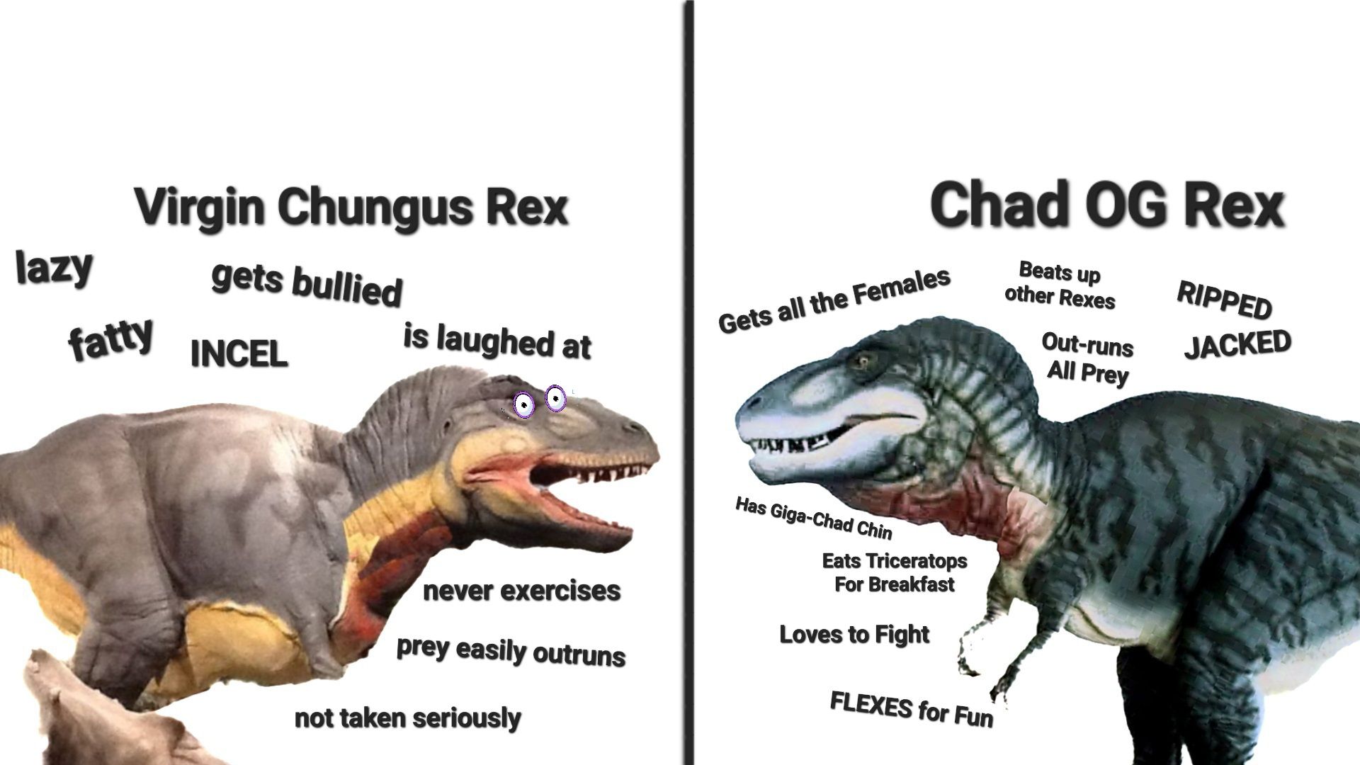 Dinamation - Another Meme for the win, derived from an existing 
