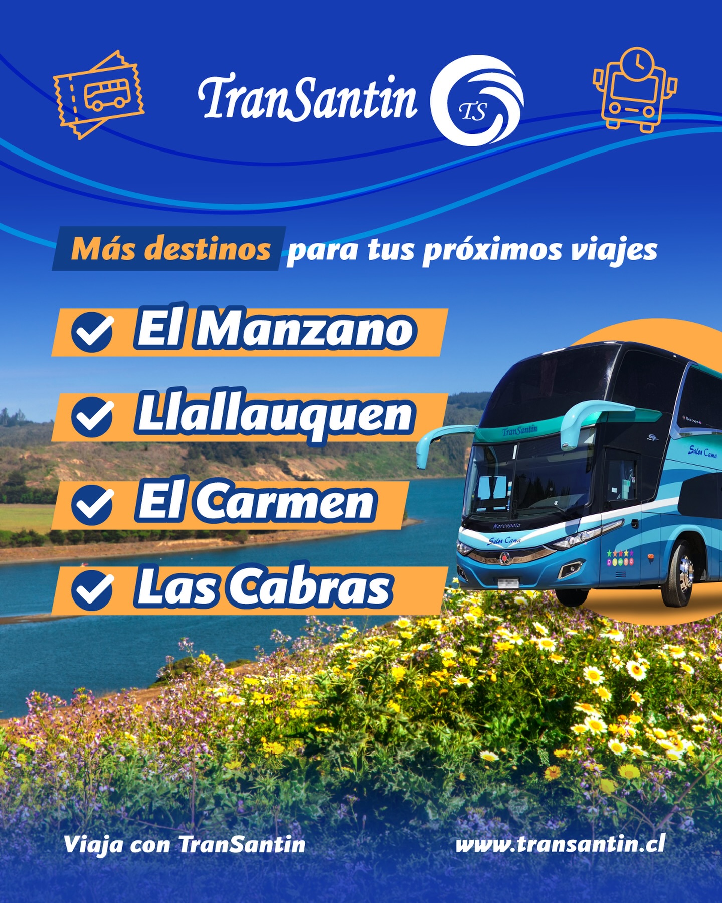 Buses TranSantin