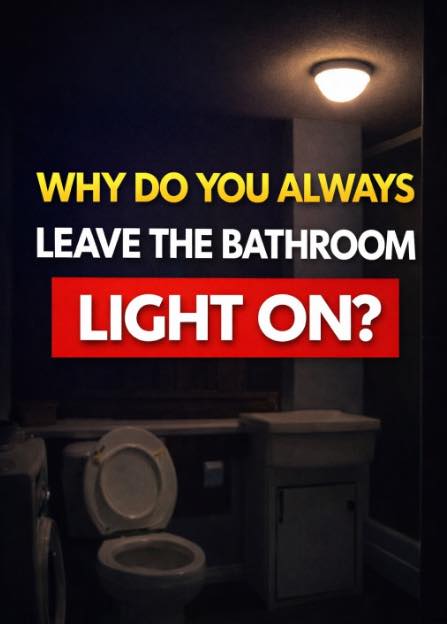 💡🚽 Did you know that leaving the... - The meaning of life | Facebook
